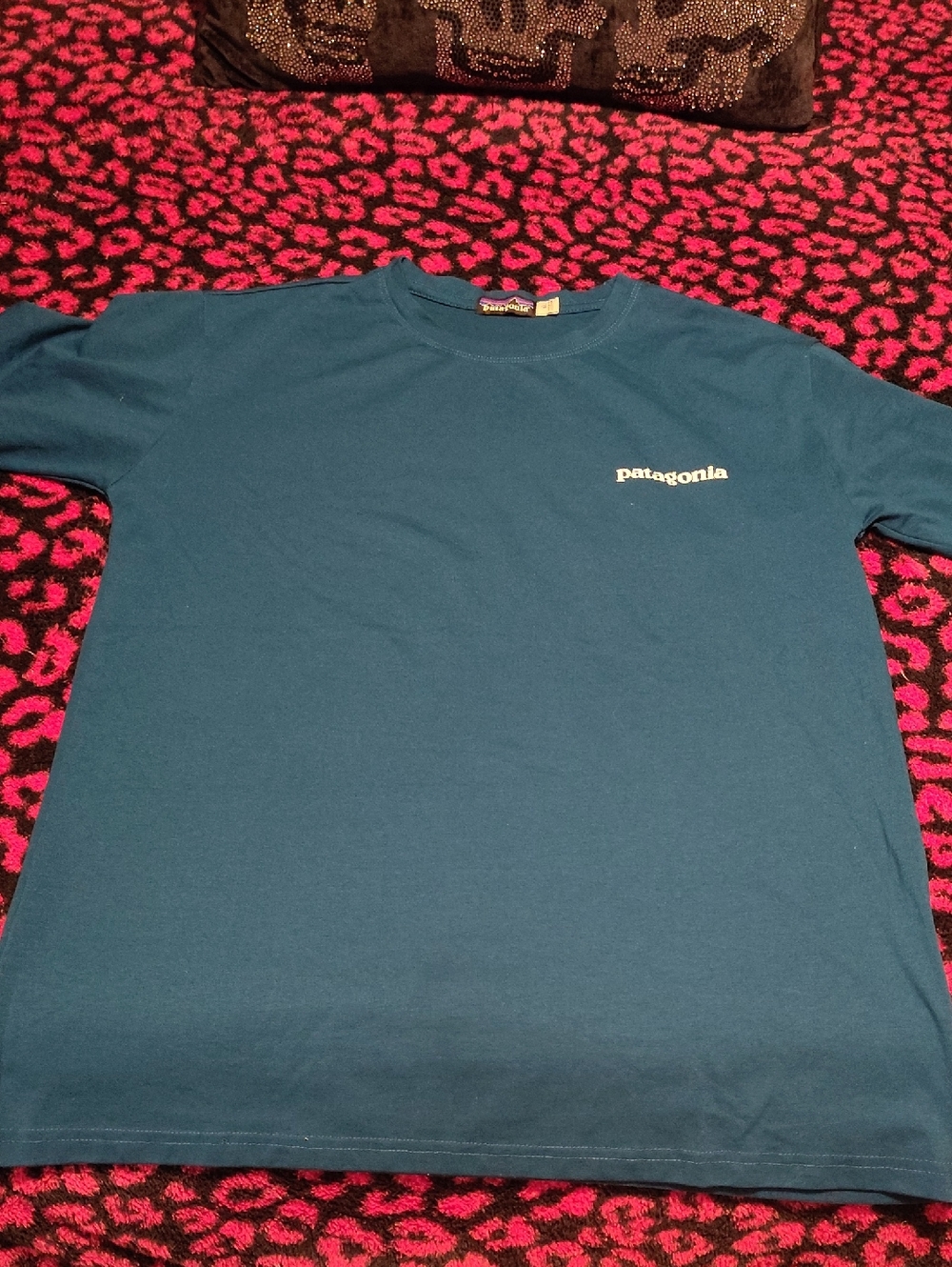 Patagonia Men's Teal Short Sleeve Logo Tee